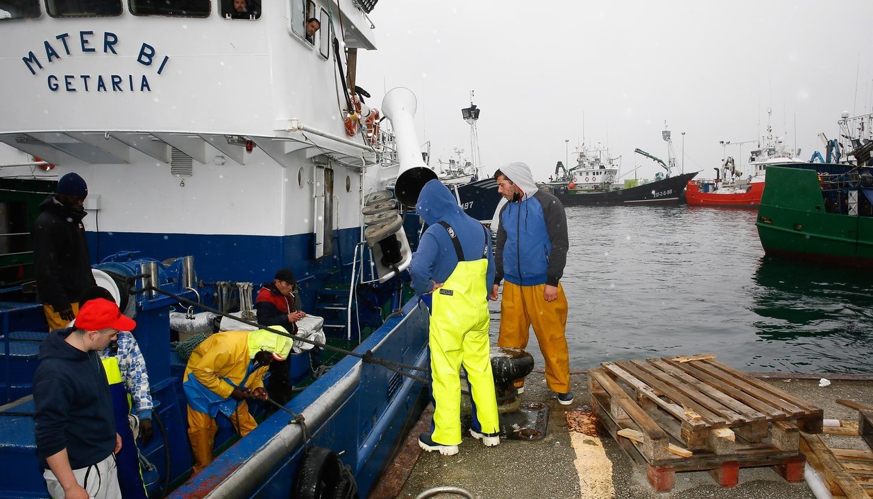 Pescadores en la campaña de la anchoa.