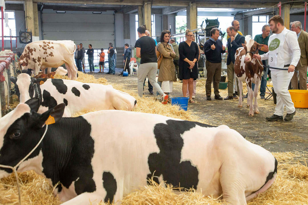 Mercado Nacional de Ganados. Torrelavega

El consejero de Desarrollo Rural, Ganadería, Pesca y Alimentación, Pablo Palencia, asiste al XXVIII Memorial José Ruiz Ruiz
NR ©
7 SEP 24