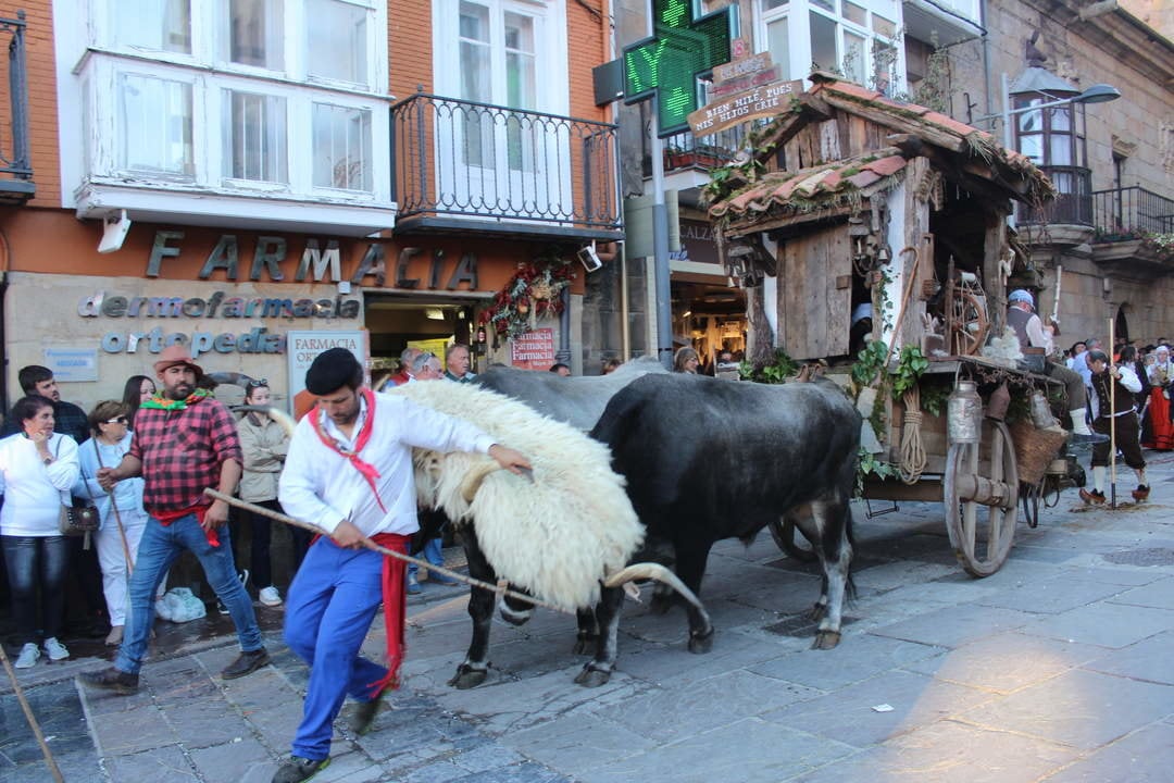 carreta ganadora